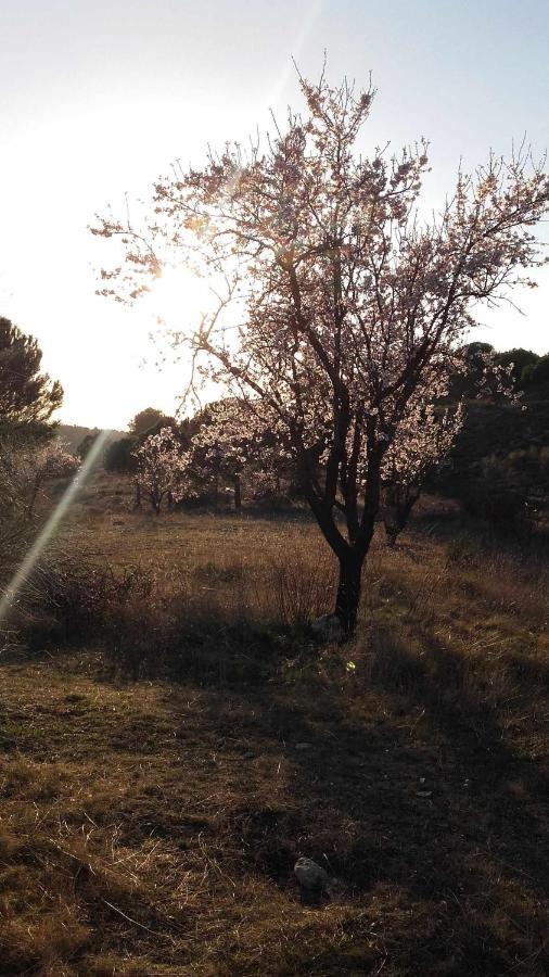 Casa Rural Con Jacuzzi La Parrilla  Bagian luar foto